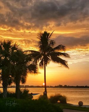 Image post by @visitsarasotacounty on Instagram