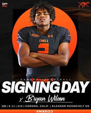 Image post by @gocamelsfb on Instagram