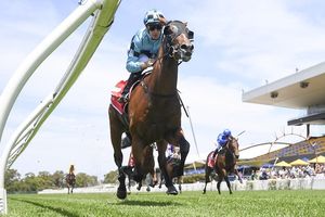 Image post by @australianturfclub on Instagram