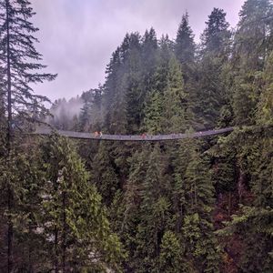Image post by @jonathn_roberts on Instagram