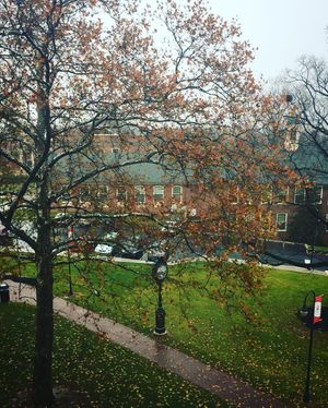 Image post by @shippensburgu on Instagram