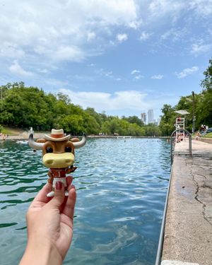 Image post by @utaustintx on Instagram
