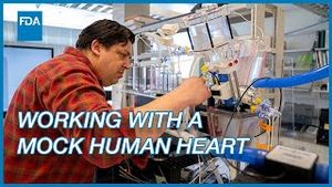 Video post by @us_fda on YouTube