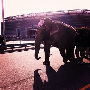 Image post by @metlifestadium on Instagram