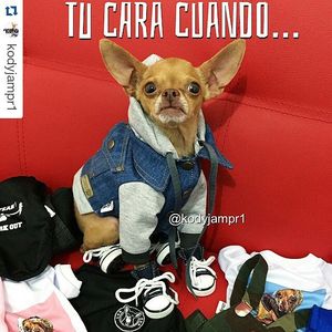 Image post by @nickyjam on Instagram