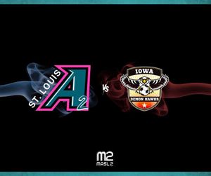 Image post by @stlouisambush on Instagram