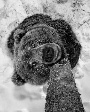 Image post by @natgeo on Instagram