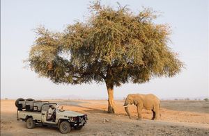 Image post by @chiawasafaris on Instagram