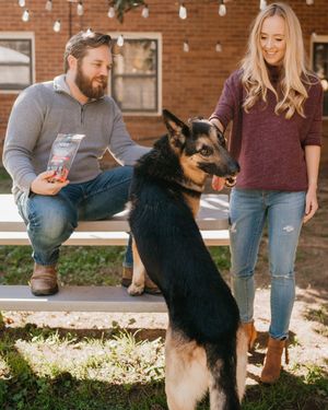 Image post by @evolvepetfood on Instagram