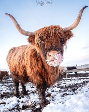 Image post by @visitscotland on Instagram