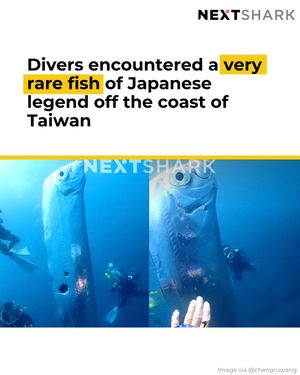 Image post by @nextshark on Instagram