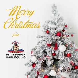 Image post by @pittsburghharlequins on Instagram