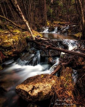 Image post by @fotodioxpro on Instagram