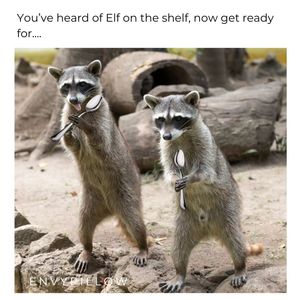 Image post by @envypillow on Instagram