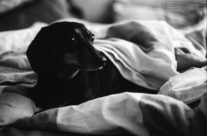 Image post by @bycorrigan on Instagram