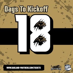Image post by @panthersifl on Instagram