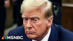Video post by @msnbc on YouTube