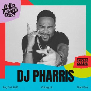 Image post by @lollapalooza on Instagram