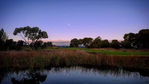 Image post by @glenelggolf on Instagram