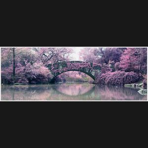 Image post by @rob.raymer on Instagram