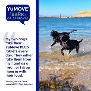 Image post by @yumove_usa on Instagram