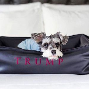 Image post by @trump on Instagram