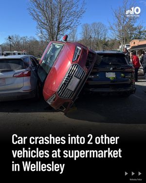 Image post by @nbc10boston on Instagram