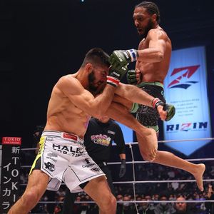 Image post by @bellatormma on Instagram