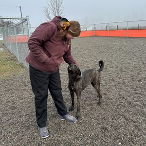 Image post by @spokhumanesoc on Instagram