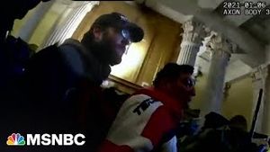 Video post by @msnbc on YouTube