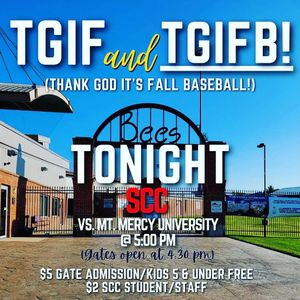 Image post by @burlington_bees on Instagram