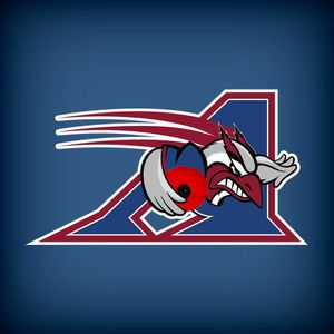 Image post by @mtlalouettes on Instagram