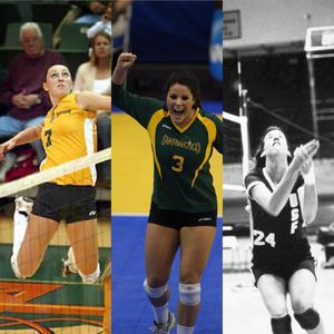 Image post by @usfdonsvb on Instagram