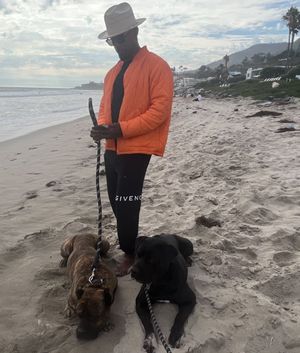 Image post by @iamjamiefoxx on Instagram