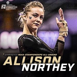 Image post by @uwgymnastics on Instagram