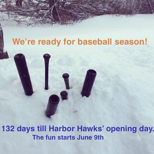 Image post by @harborhawks on Instagram