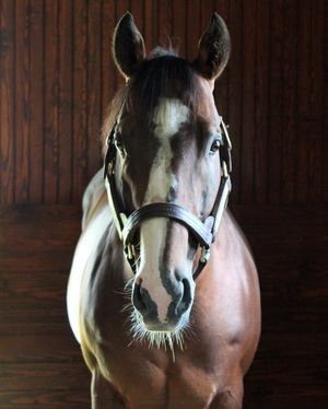 Image post by @spendthriftfarm on Instagram