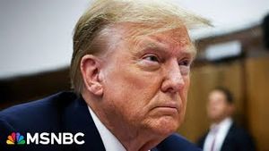 Video post by @msnbc on YouTube