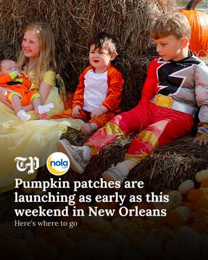 Image post by @nolanews on Instagram