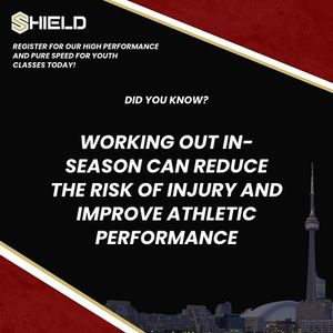 Image post by @shield.performance on Instagram