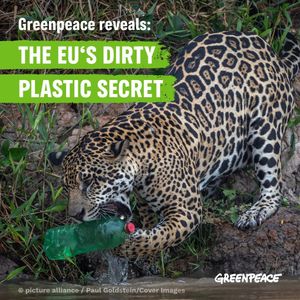 Image post by @greenpeace on Instagram