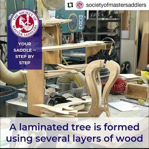 Image post by @performancesaddlefitssthsydney on Instagram