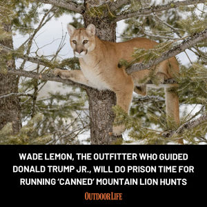 Image post by @outdoor_life on Instagram