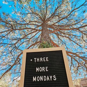 Image post by @nauflagstaff on Instagram