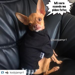 Image post by @nickyjam on Instagram