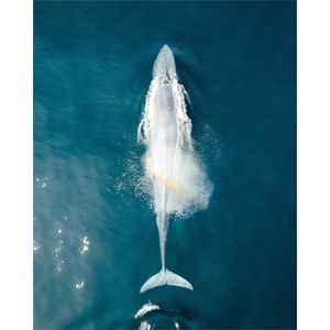 Image post by @dronepals on Instagram