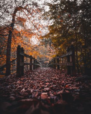 Image post by @jomatt_m on Instagram