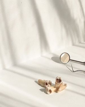 Image post by @islanddentalny on Instagram