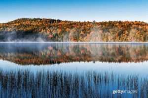 Image post by @gettyimages on Instagram