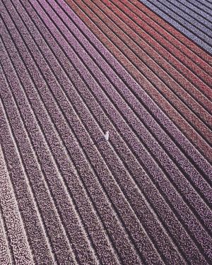 Image post by @dronepals on Instagram